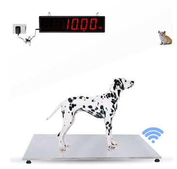 200KGs Bluetooth Veterinary Scale without cable